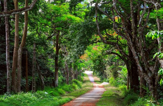 Ninh Bình – Hành Trình Di Sản, Sinh Thái & Văn Hóa Độc Đáo – Tour 3 Ngày 2 Đêm 1