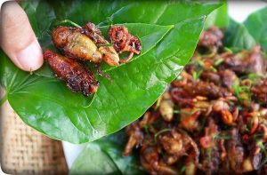 Ve sầu chiên giòn – “đặc sản thử thách lòng can đảm” của Đồng Nai 17