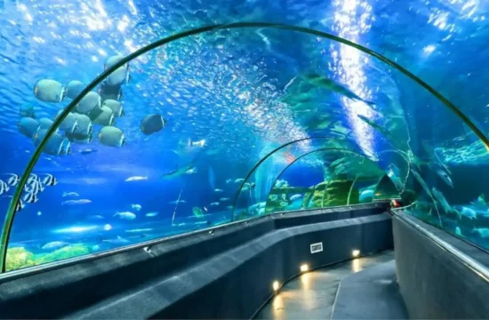 Khám phá đại dương tại Viện Hải Dương học Nha Trang 16