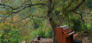 Đại Huệ Farmstay – Vườn Hồng Nam Anh Giữa Lòng Xứ Nghệ 11