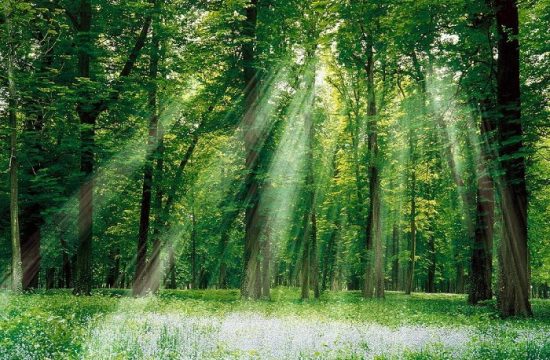 Lịch trình 4 ngày 3 đêm: Đại Ngàn Di Sản – Khám Phá Trọn Vẹn Ninh Bình 5