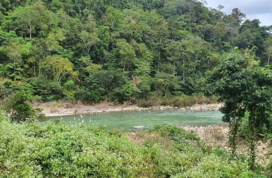 Phát huy “kho báu” Vườn Quốc gia Phước Bình (Khánh Hoà) gắn với phát triển du lịch sinh thái 20