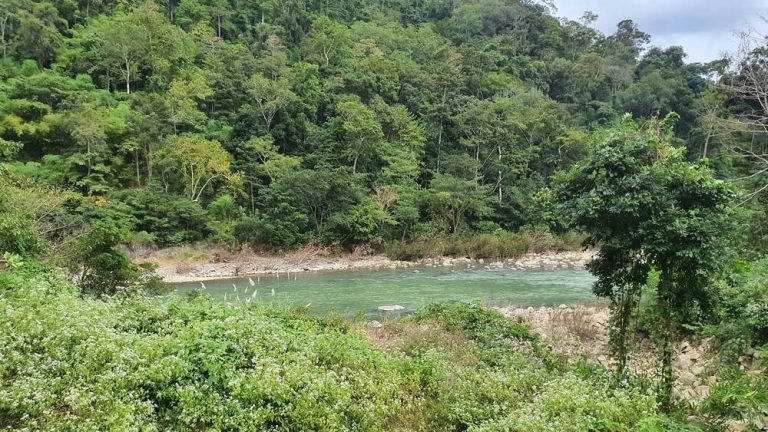 Phát huy “kho báu” Vườn Quốc gia Phước Bình (Khánh Hoà) gắn với phát triển du lịch sinh thái