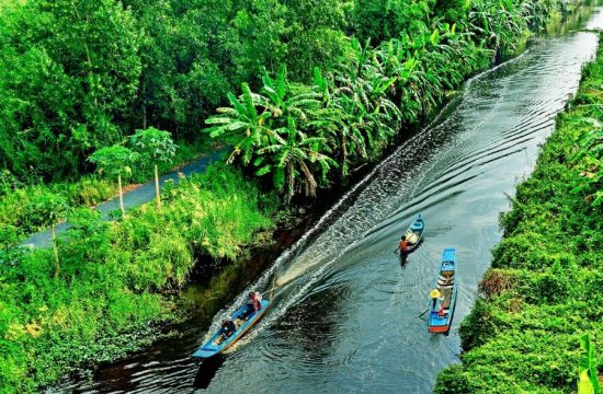 Lịch trình một ngày khám phá Cà Mau - Vùng đất cực Nam Tổ quốc 16