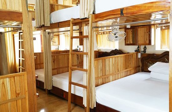 Why Not Hostel Huế – Nơi kết nối giữa du khách quốc tế và không gian văn hóa phố cổ 40
