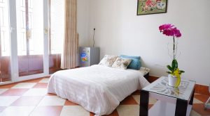 Winter Spring Hostel 7