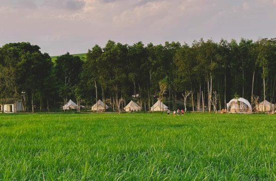 The Fields of Phủ Quỳ – Camping Giữa Cánh Đồng Cỏ Xanh Mướt Ở Đông Hiếu 26