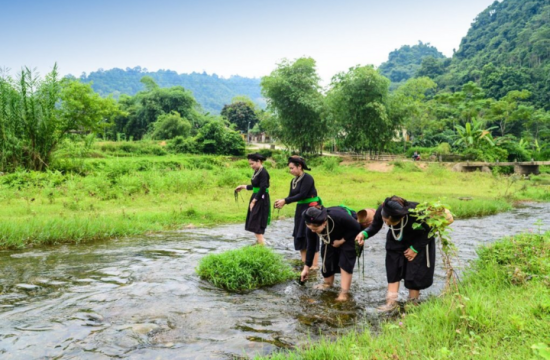 Rêu đá - Vật phẩm quá giá thiên nhiên ban tặng 37