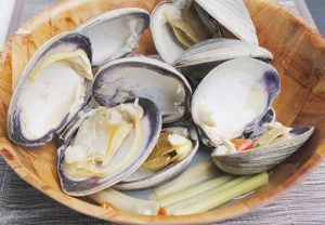 Ngán – “Báu vật” ẩn mình trong cát biển Quảng Ninh 19