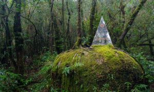 Vườn quốc gia Chư Yang Sin – “Nóc nhà” của đại ngàn Đắk Lắk 13