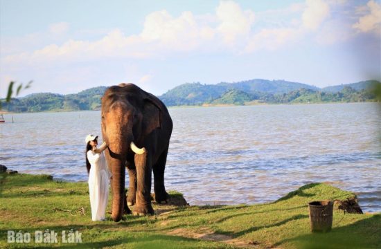 Doanh thu hoạt động du lịch huyện Lắk đạt gần 16,6 tỷ đồng 165