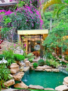 Eco Cafe – Quán cafe sân vườn hồ cá Koi cực đẹp tại Bãi Cháy 11