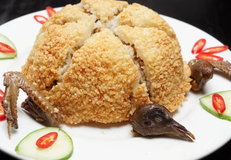 Xôi bồ câu Đắk Lắk – Món ngon tinh tế từ nếp và thịt chim