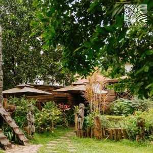 Arul House – “Hơi Thở Hiện Đại Giao Hòa Với Núi Rừng Buôn Ma Thuột”