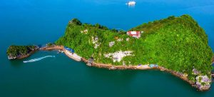 Đảo Soi Sim – Viên ngọc xanh giữa vịnh Hạ Long 15