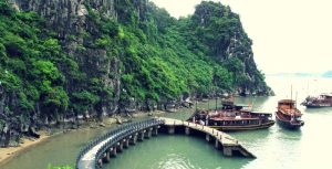 Đảo Đầu Gỗ – Tuyệt tác thiên nhiên giữa lòng di sản Hạ Long 19