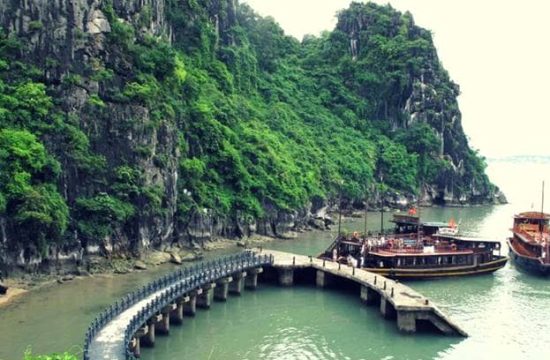 Đảo Đầu Gỗ – Tuyệt tác thiên nhiên giữa lòng di sản Hạ Long 15