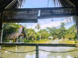 Hồ Câu Đồng Xanh – Địa chỉ quen thuộc của dân bản địa