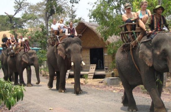 Tour Đắk Lắk 1 ngày - Tour Buôn Ma Thuột cưỡi voi 1