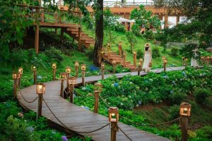 Trải nghiệm cảm giác “chill như ĐÀ LẠT” tại La Luna Coffee Hạ Long 7