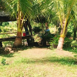 Snô DakLak – “Omakase” Đồng Bào: Món Ăn Cận Cảnh Văn Hóa Tây Nguyên