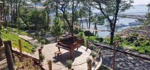 Thông Zeo Coffee – Quán café giữa rừng thông thơ mộng tại Hạ Long 5