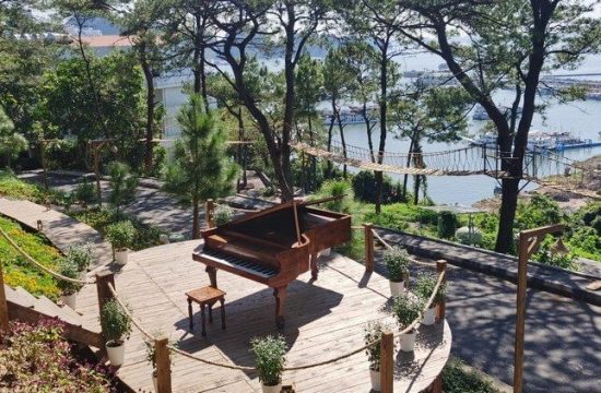 Thông Zeo Coffee – Quán café giữa rừng thông thơ mộng tại Hạ Long 3