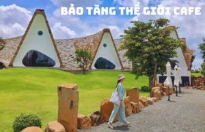 Tour Tết Tà Đùng - Buôn Ma Thuột 3N2Đ: Hành trình khám phá mảnh đất đại ngàn huyền thoại 1