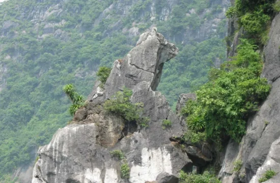 Tour Quảng Ninh 2 Ngày 1 Đêm – Hà Nội – Hạ Long – Bãi Cháy 1